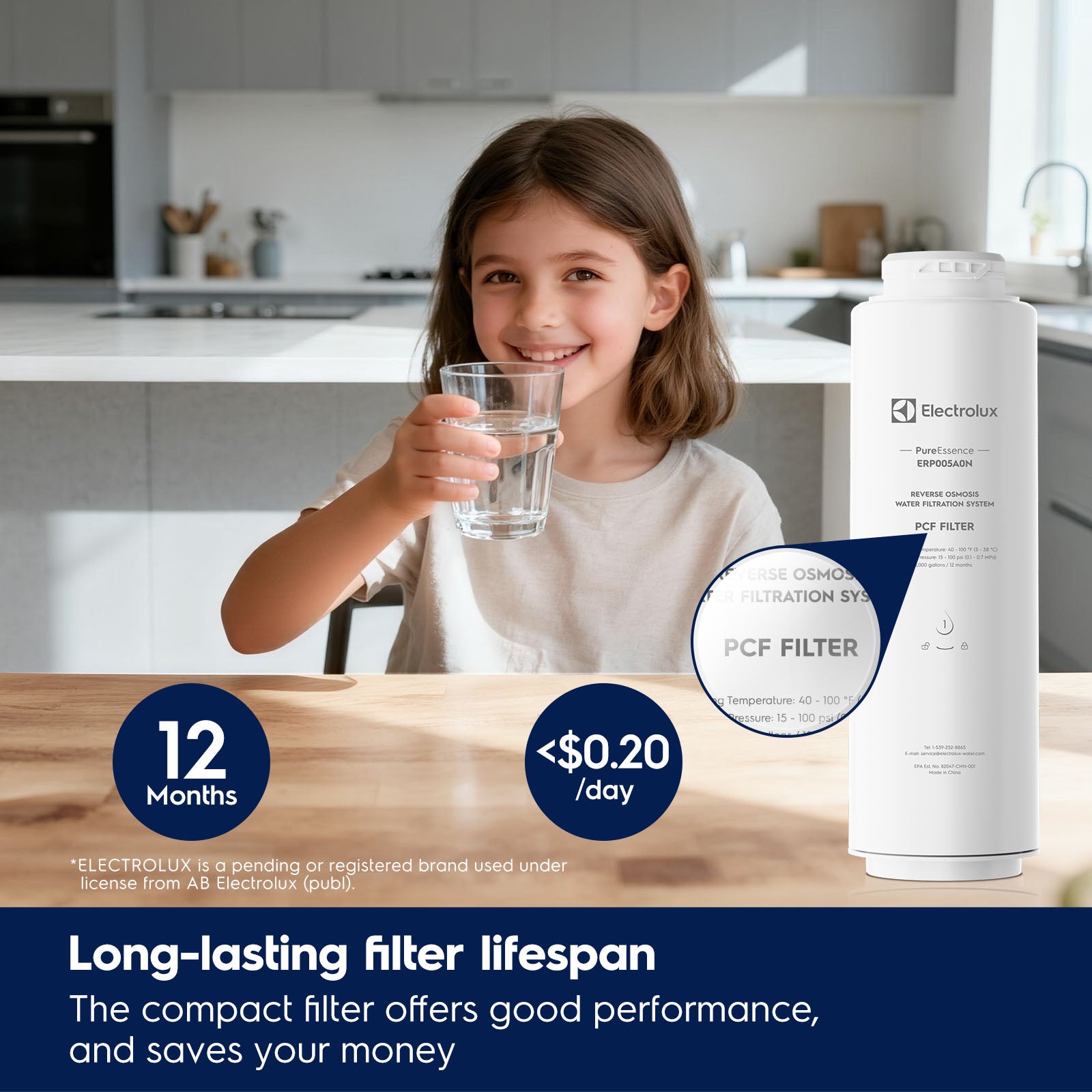 Electrolux Eco 600GPD PCF Filter (12-Month), Replacement Electrolux for Eco 600GPD Reverse Osmosis System