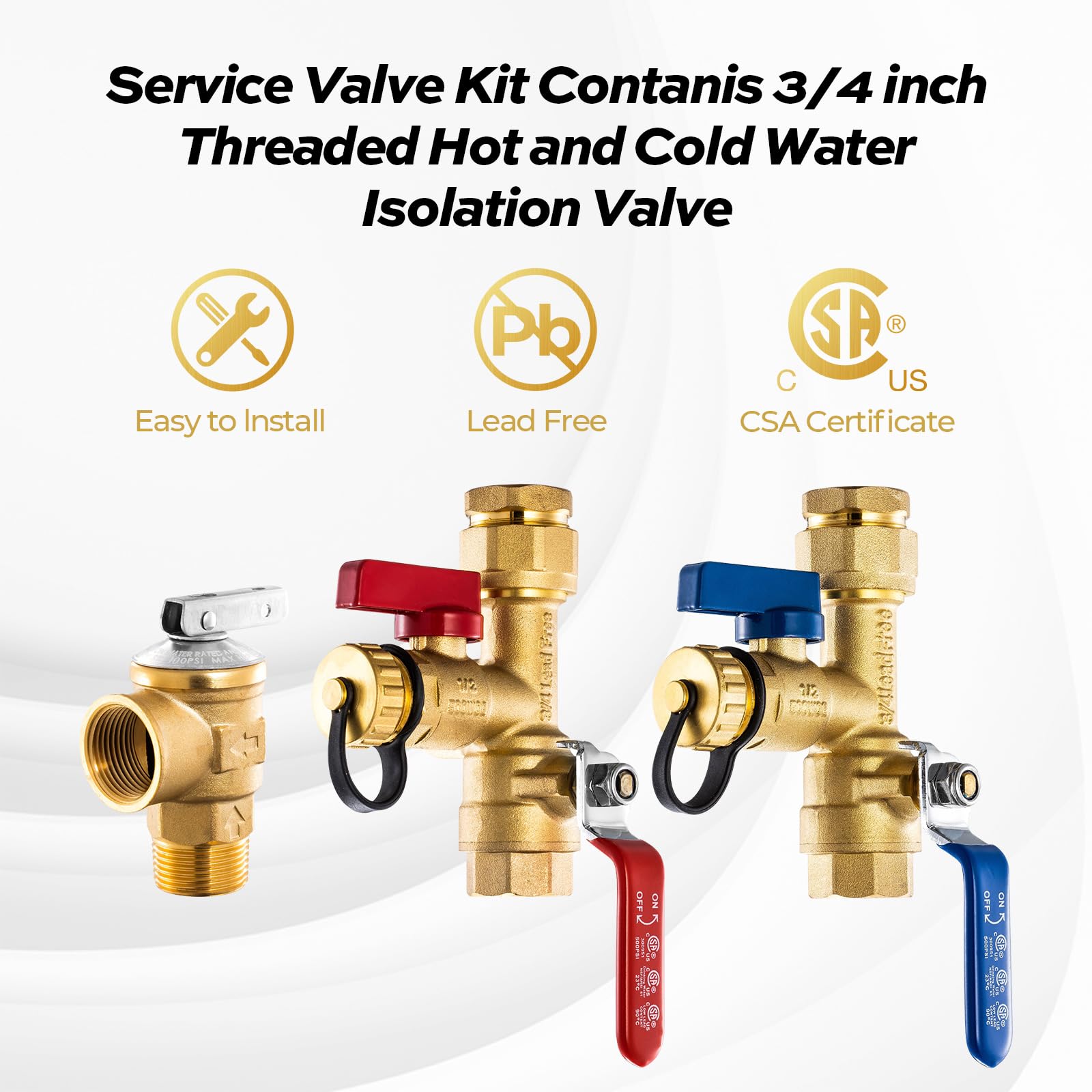 3/4 Inch IPS Isolator Service Valve Kit, with 150 PSI Pressure Relief Valve